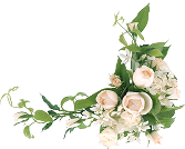 decor-newsletter